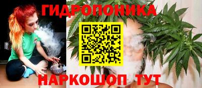 прущие грибы Моздок