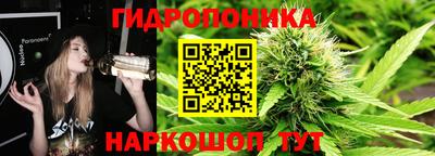 СК Можга