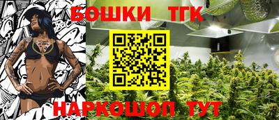 прущие грибы Моздок